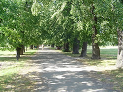 Park w Piasecznie przy Chyliczkowskiej