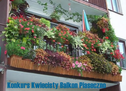 Konkurs na najpiękniejszy balkon Kwiecisty Balkon Piaseczno